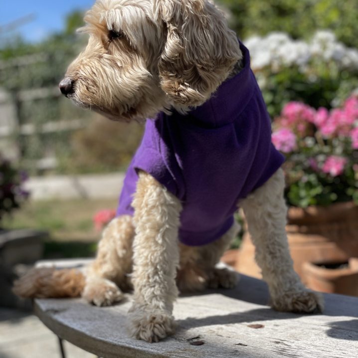 Fleece Tee ~ Medium Breed